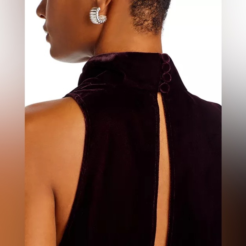 The Andamane High Neck Velvet Open Back Maxi Dress - Picture 5 of 13